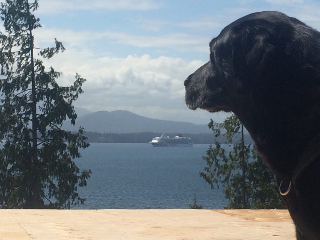 dogzilla